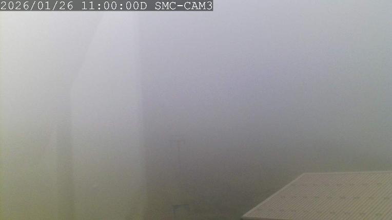 Webcam Manganui: T-Bar