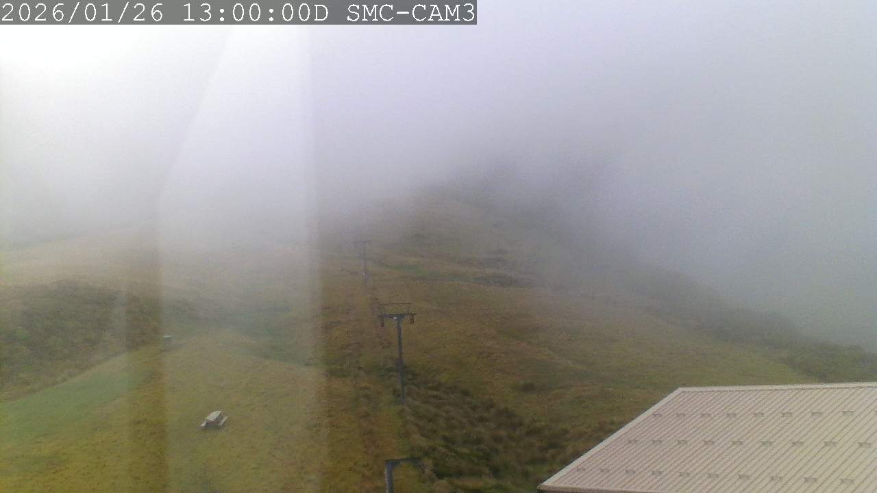 Webcam Manganui: T-Bar