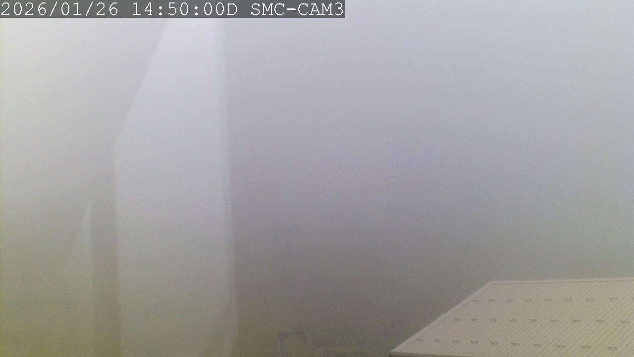 Webcam Manganui: T-Bar