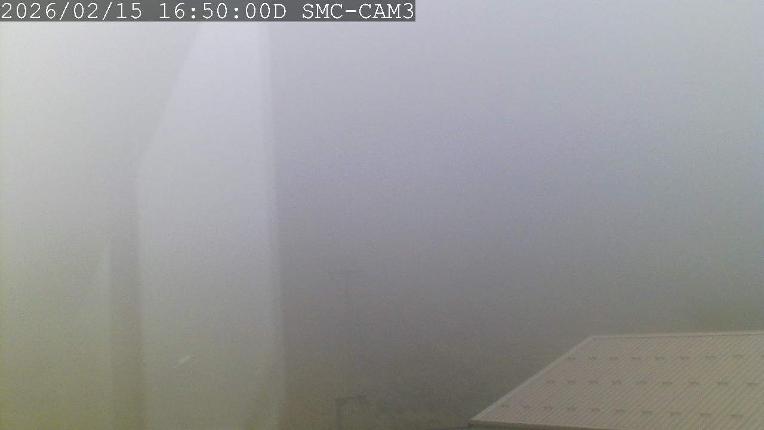 Webcam Manganui: T-Bar