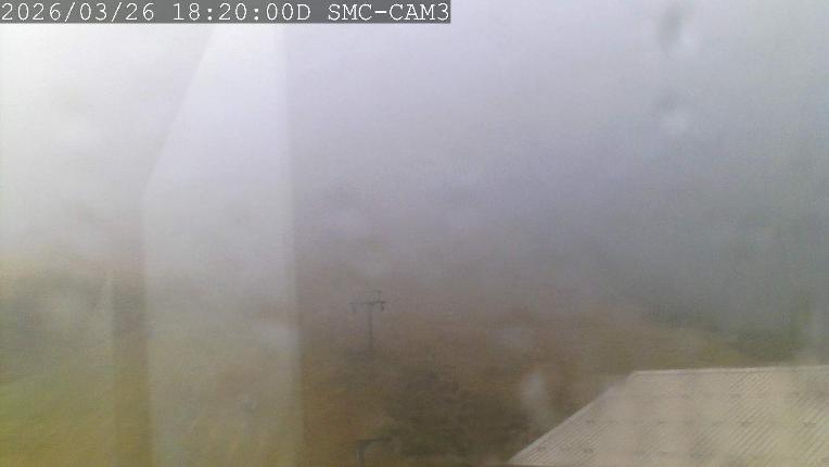 Webcam Manganui: T-Bar