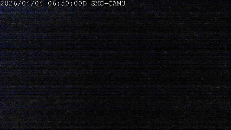 Webcam Manganui: T-Bar