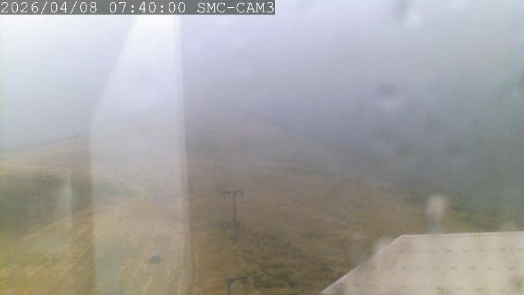 Webcam Manganui: T-Bar