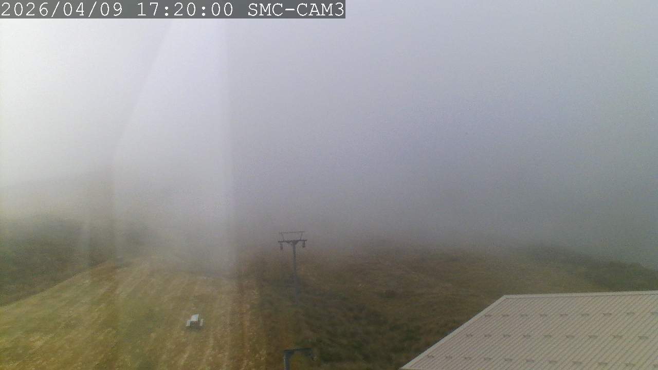 Webcam Manganui: T-Bar