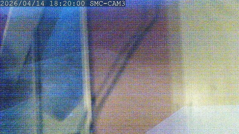 Webcam Manganui: T-Bar