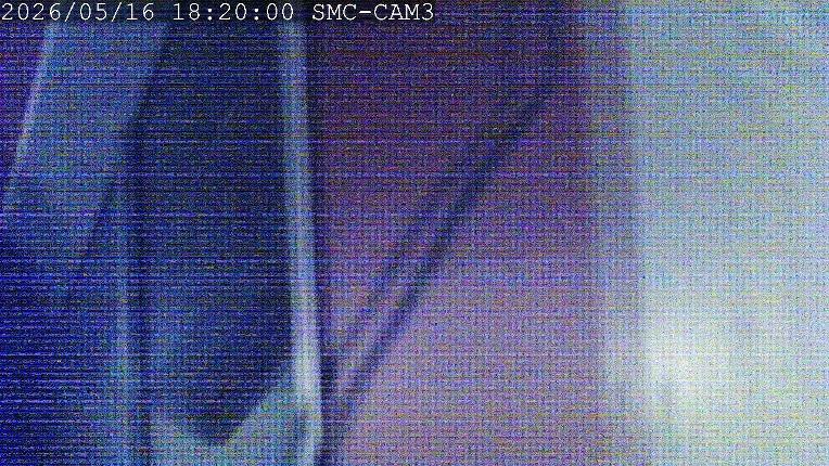Webcam Manganui: T-Bar