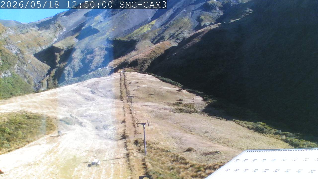 Webcam Manganui: T-Bar