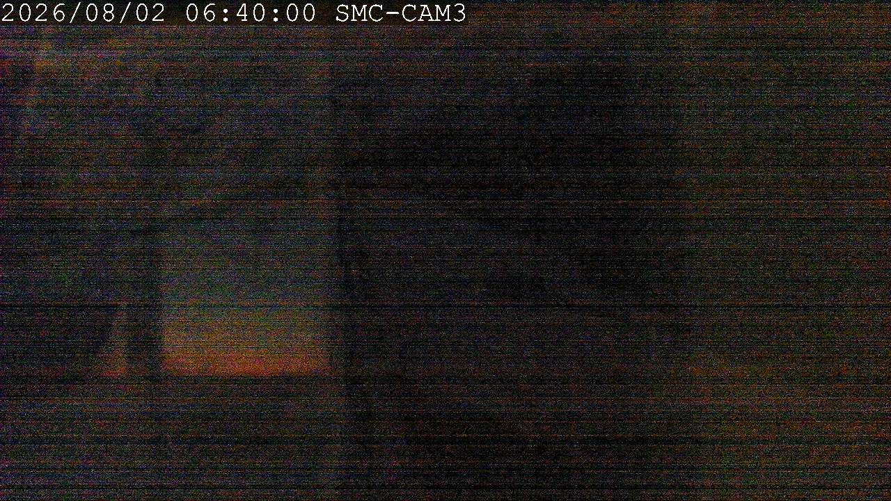 Webcam Manganui: T-Bar