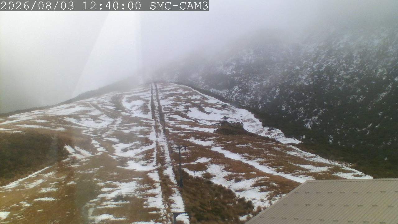 Webcam Manganui: T-Bar