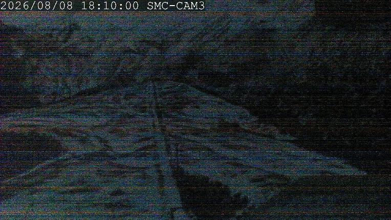 Webcam Manganui: T-Bar
