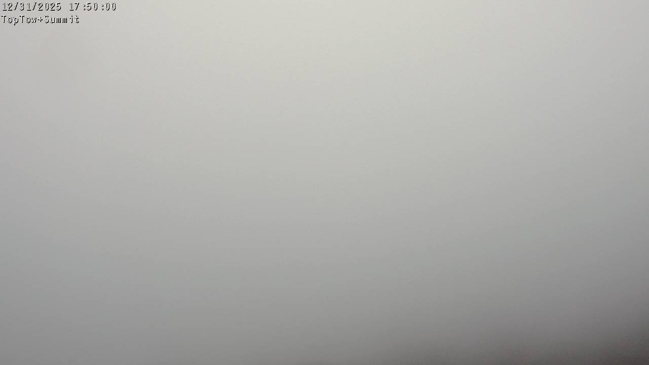 Webcam Manganui: Top Tow