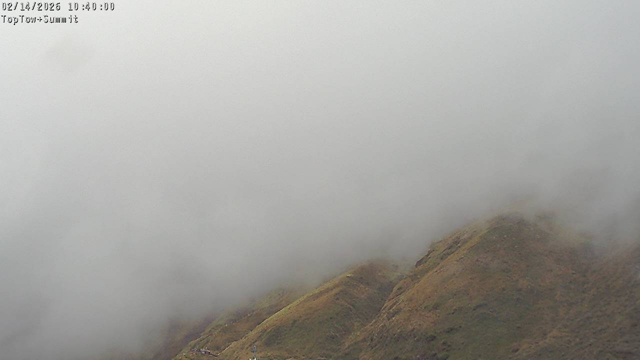 Webcam Manganui: Top Tow