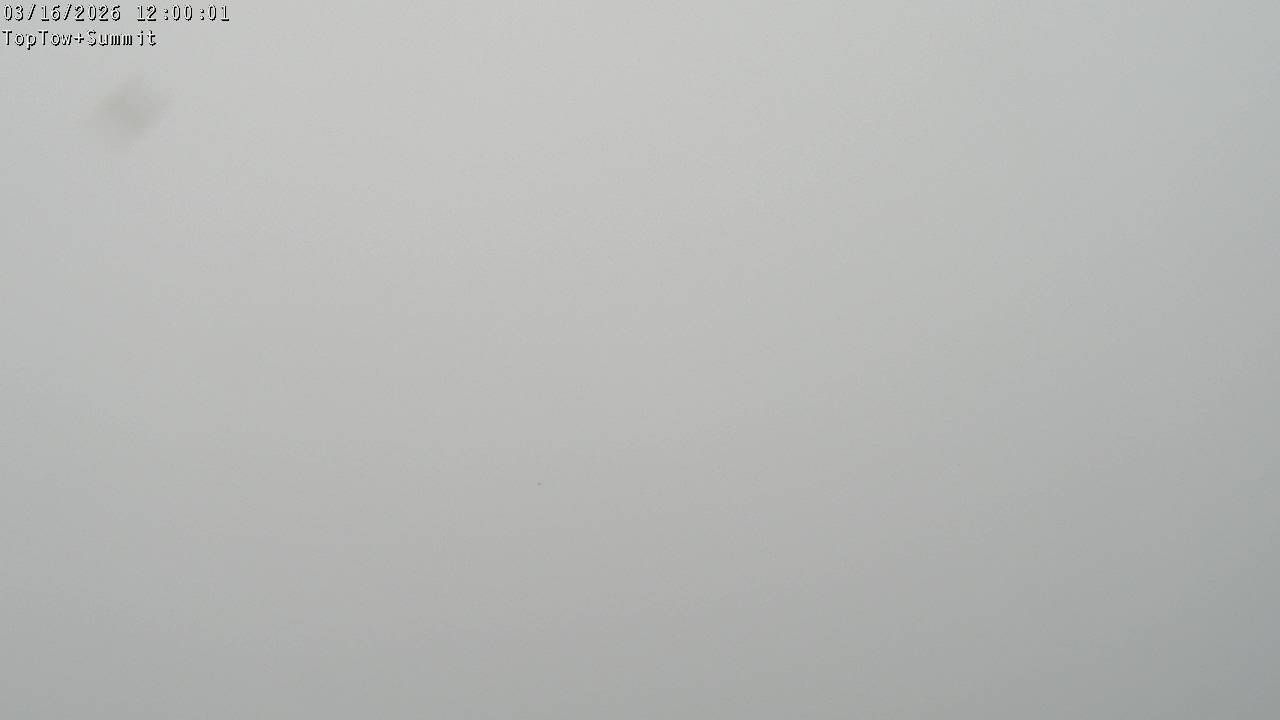 Webcam Manganui: Top Tow