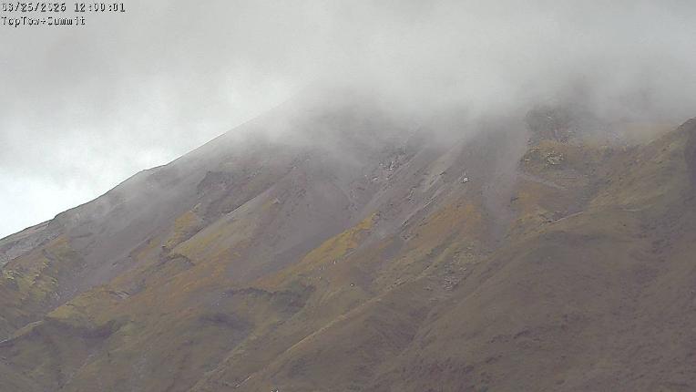 Webcam Manganui: Top Tow