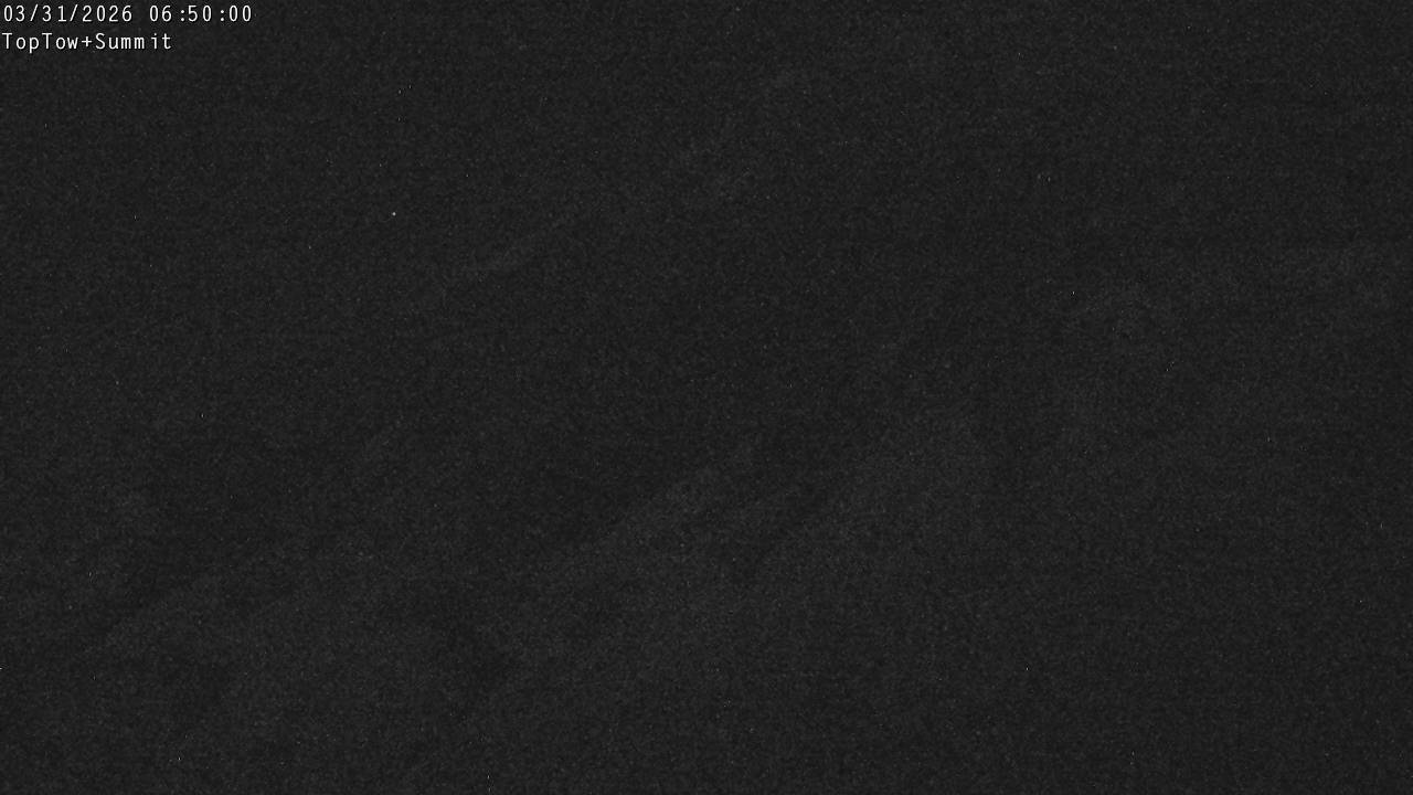 Webcam Manganui: Top Tow