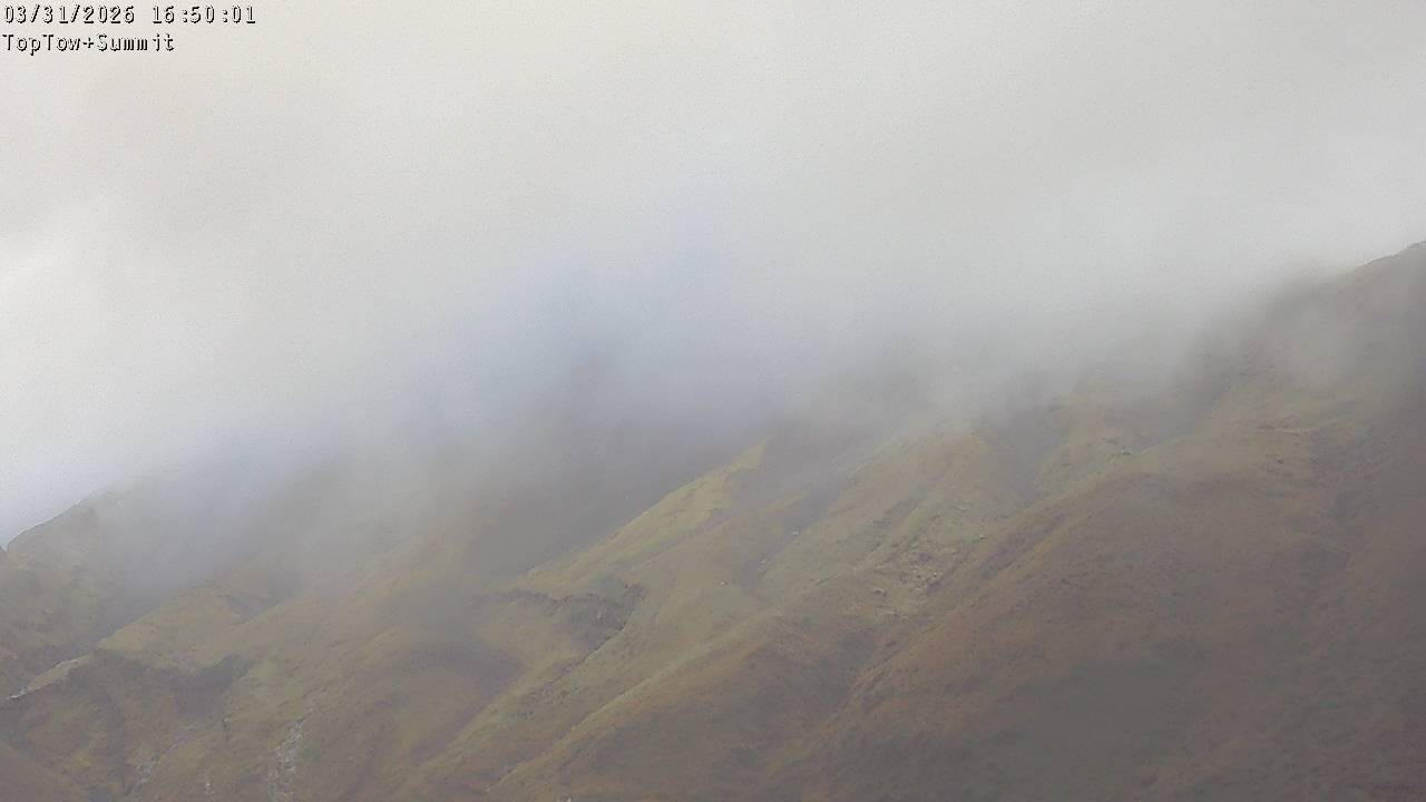 Webcam Manganui: Top Tow