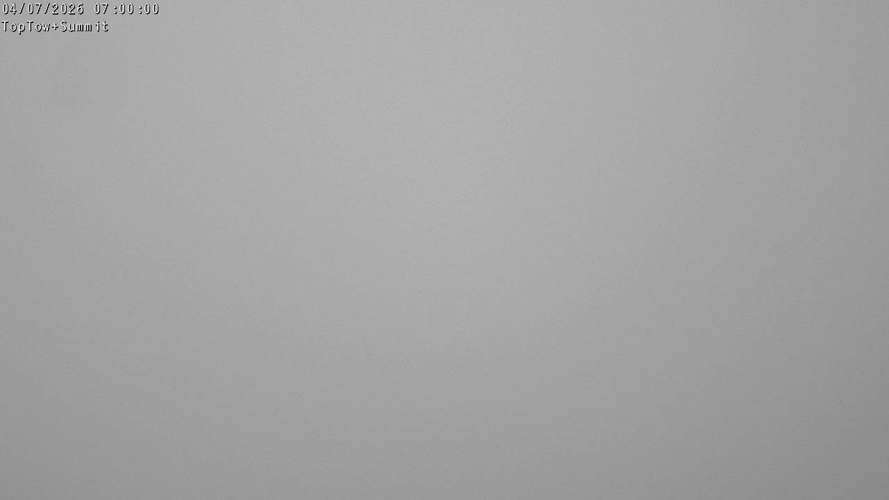 Webcam Manganui: Top Tow