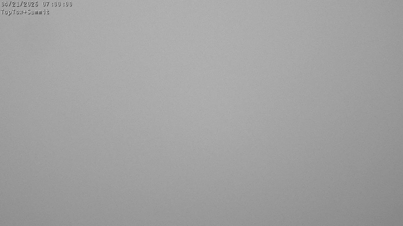 Webcam Manganui: Top Tow