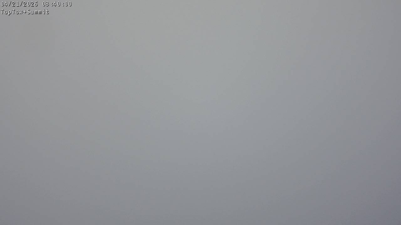 Webcam Manganui: Top Tow