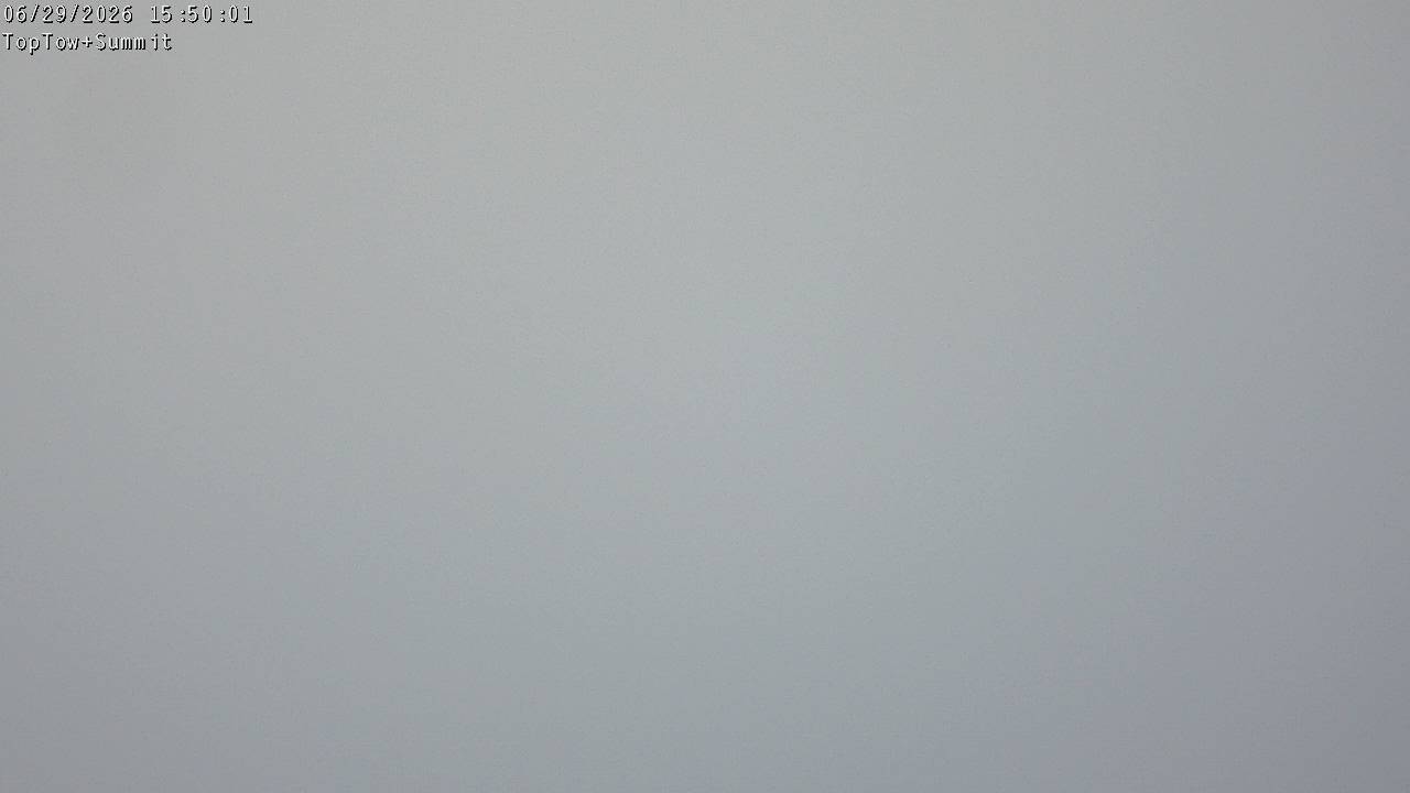 Webcam Manganui: Top Tow