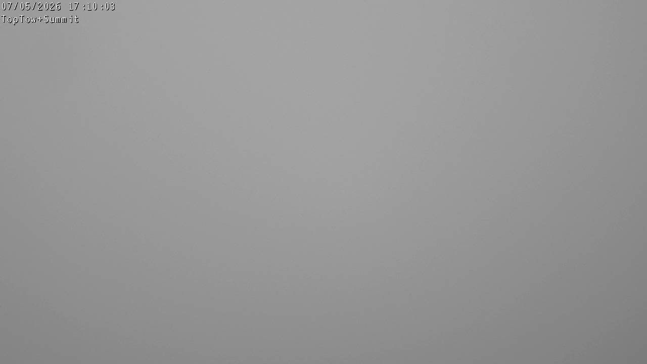 Webcam Manganui: Top Tow