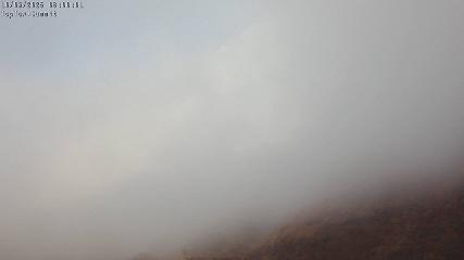 Manganui webcam