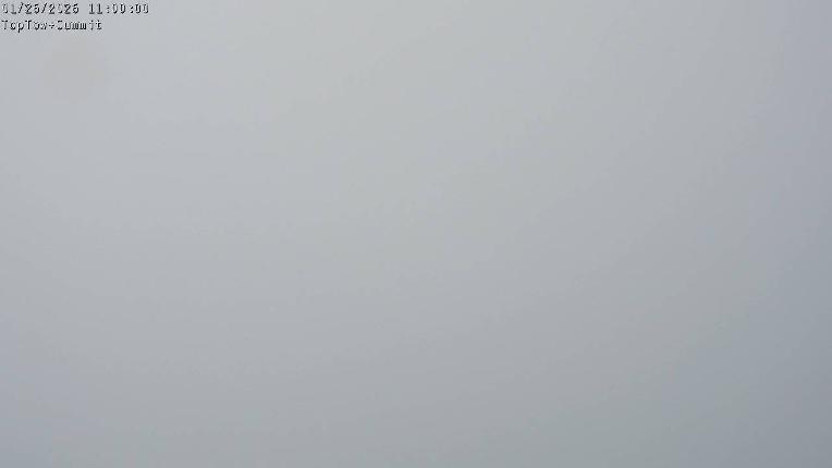 Webcam Manganui: Top Tow view