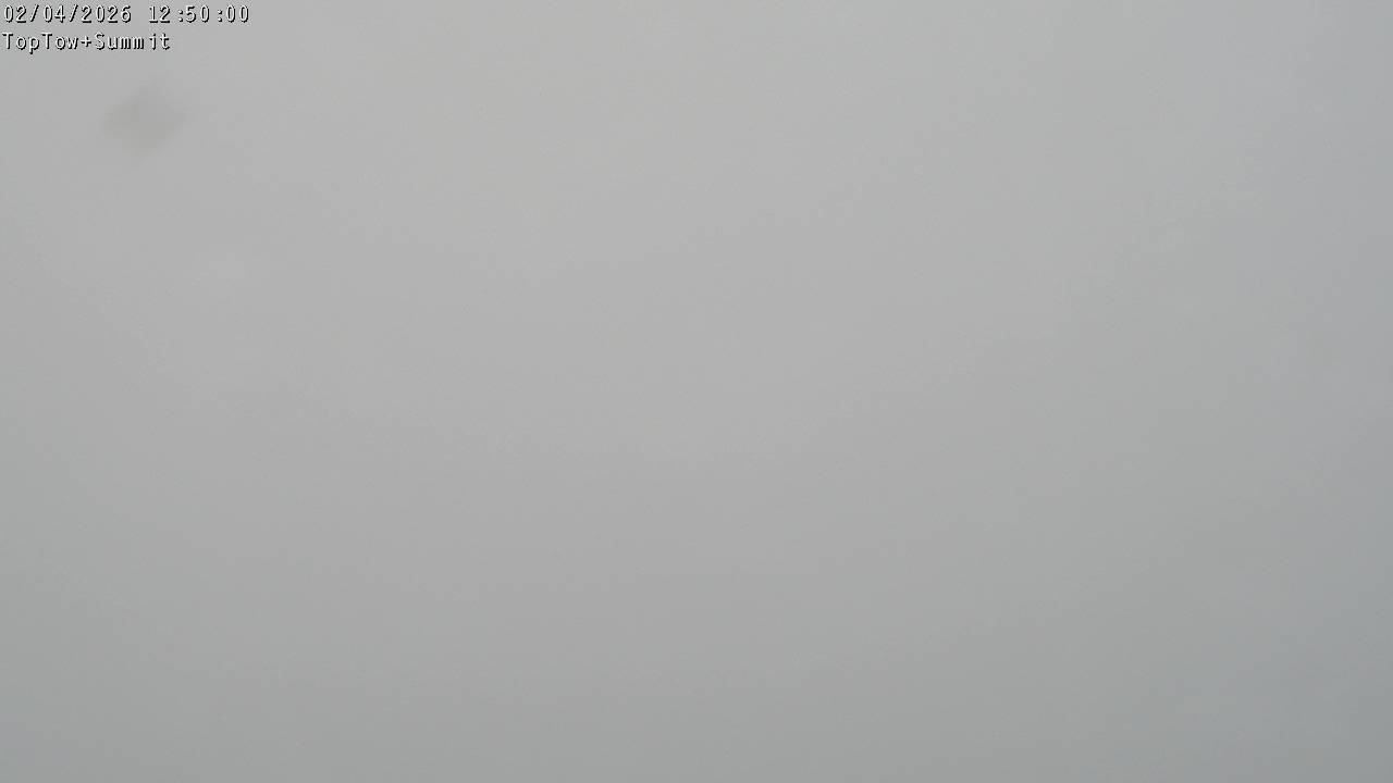 Webcam Manganui: Top Tow view