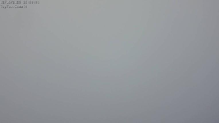 Webcam Manganui: Top Tow view