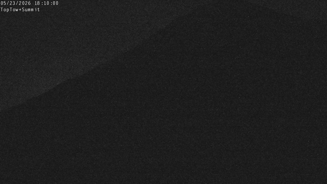 Webcam Manganui: Top Tow view