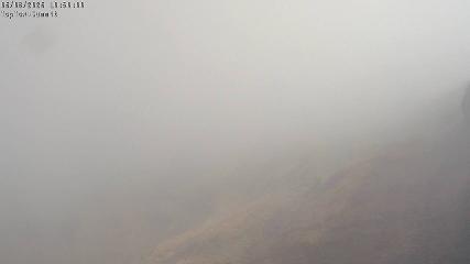 Manganui webcam