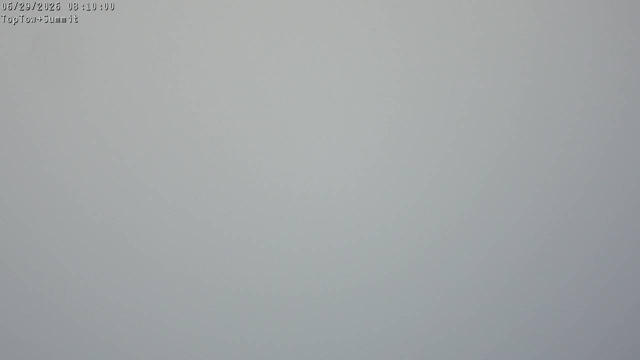 Webcam Manganui: Top Tow view