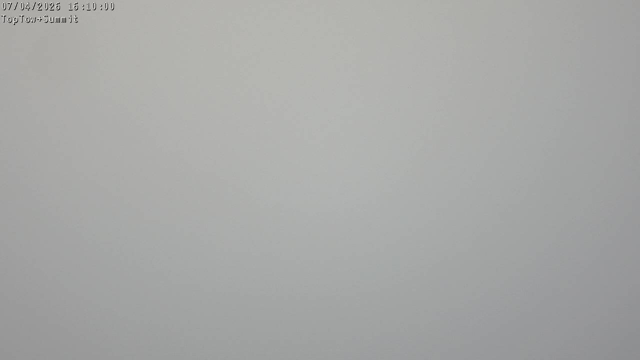 Webcam Manganui: Top Tow view