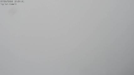 Manganui webcam