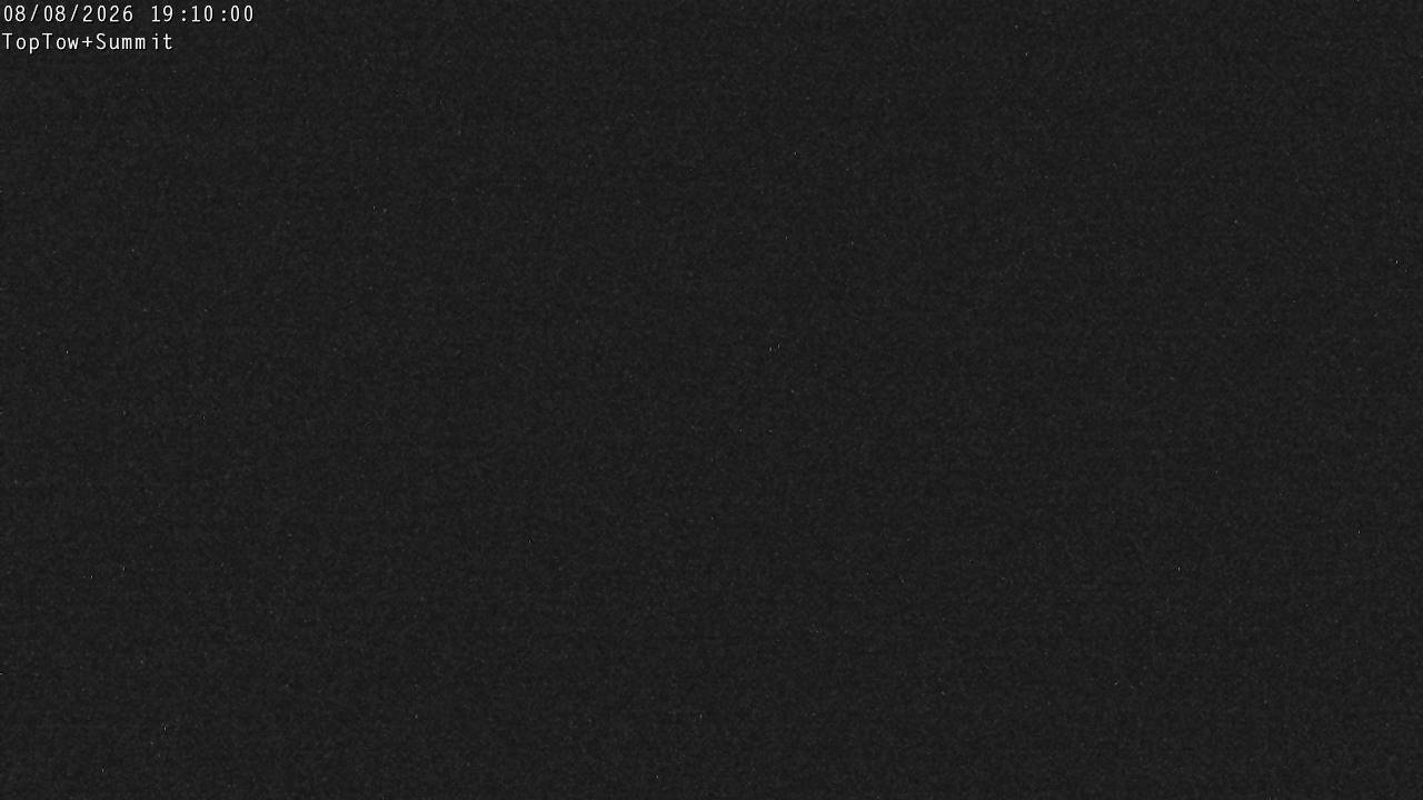 Webcam Manganui: Top Tow view