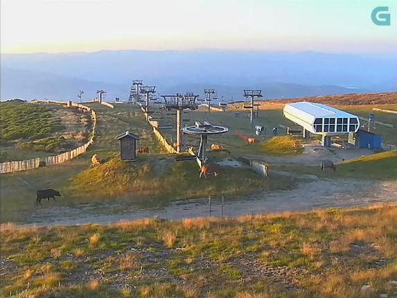 Webcam Manzaneda: Zona Alta