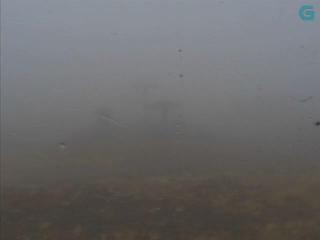 Manzaneda: Zona Alta (crtvg.es)