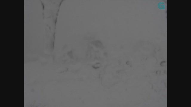 Webcam Manzaneda: Zona Alta