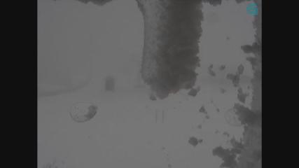 Manzaneda: Zona Alta (crtvg.es)