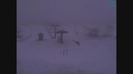 User report image in Manzaneda