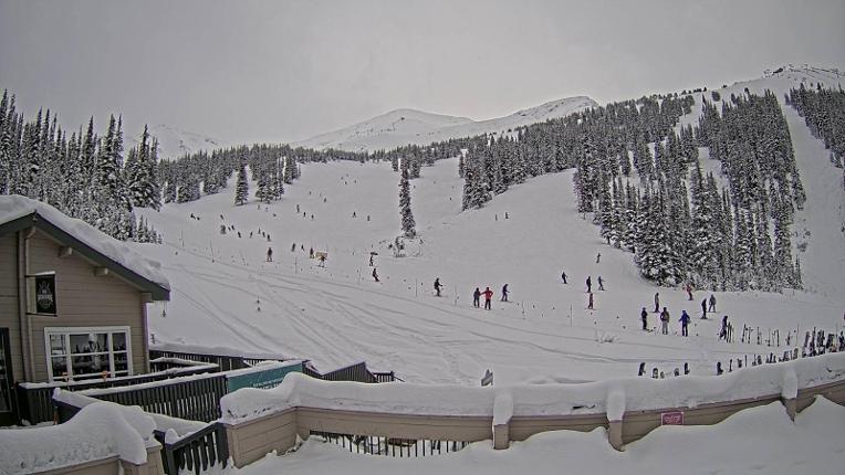 Webcam Marmot Basin: Mid Mountain