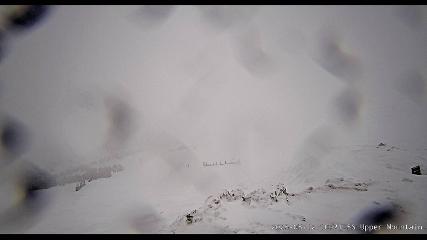 Marmot Basin: Upper Mountain (skimarmot.com)