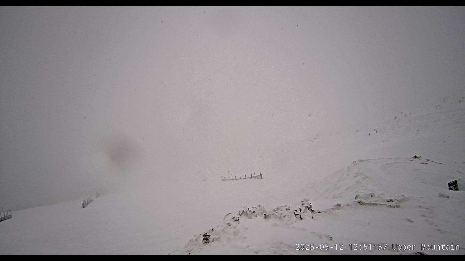 Webcam Marmot Basin: Upper Mountain