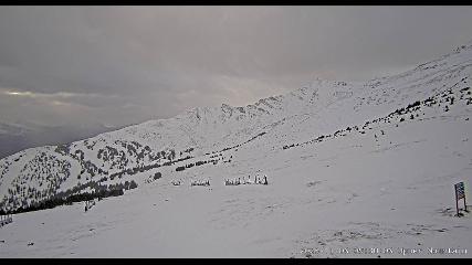Marmot Basin: Upper Mountain (skimarmot.com)
