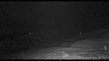 Marmot Basin: Upper Mountain (skimarmot.com)