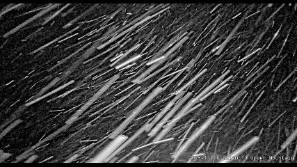 Marmot Basin: Upper Mountain (skimarmot.com)