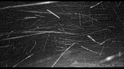 Marmot Basin: Upper Mountain (skimarmot.com)