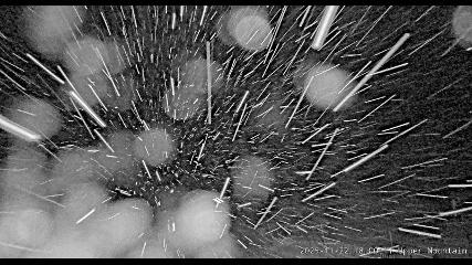 Marmot Basin: Upper Mountain (skimarmot.com)