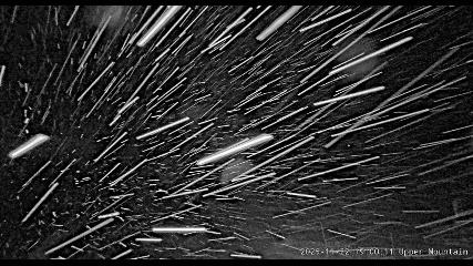 Marmot Basin: Upper Mountain (skimarmot.com)