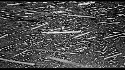 Marmot Basin: Upper Mountain (skimarmot.com)